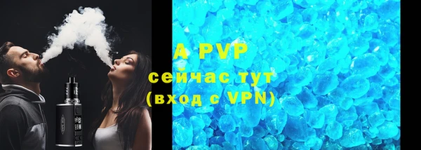 сатива Баксан