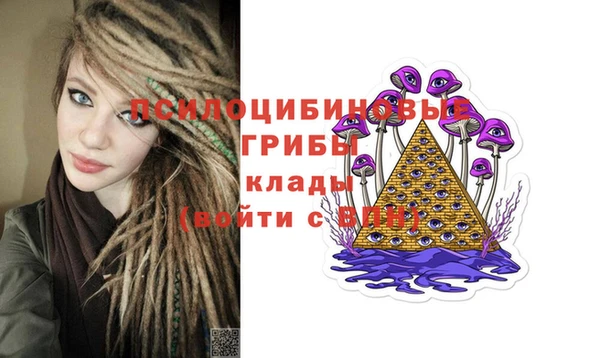 сатива Баксан
