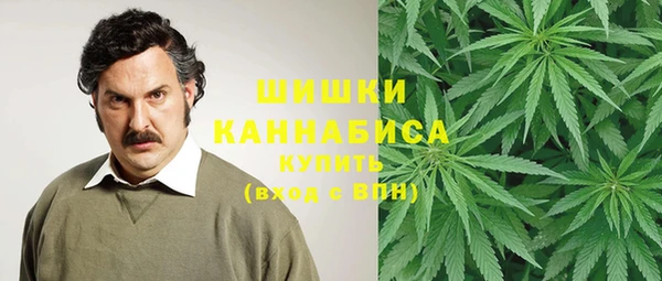 соль ск Балахна